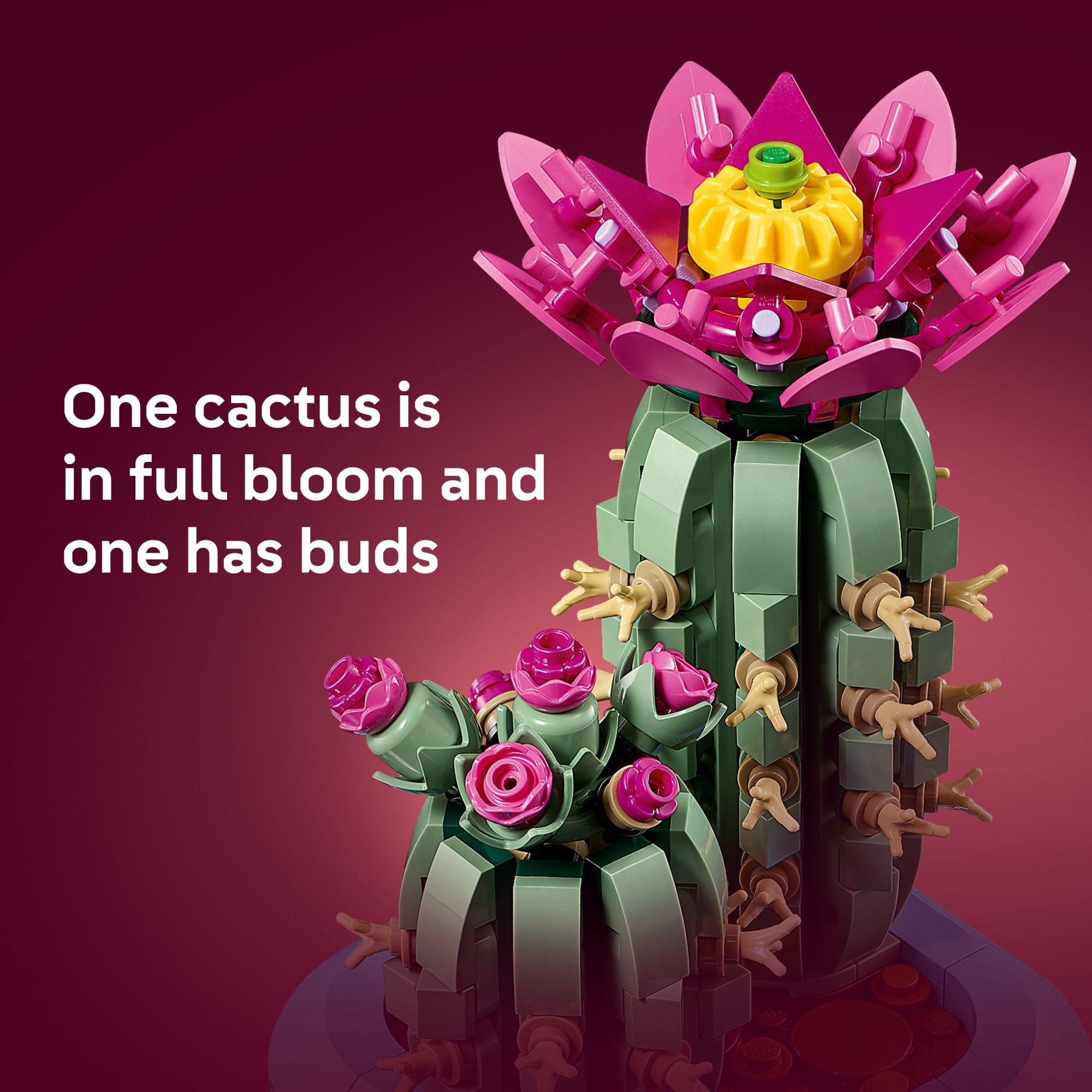 LEGO Botanicals Flowering Cactus authentic green shades with detailed plant model decor