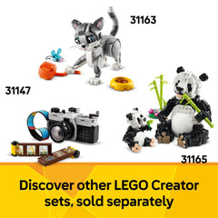 LEGO Creator 3-in-1 Stickers with phrases decorate the models thoughtfully
