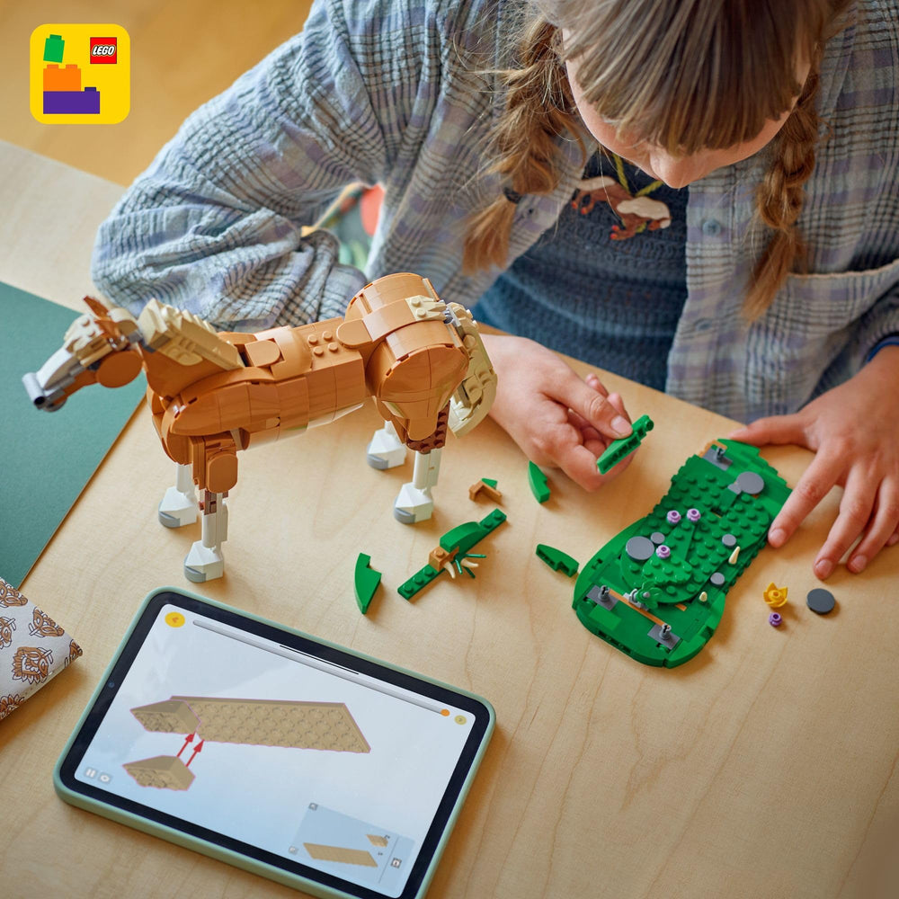 LEGO Creator 3in1 box contents show 685 pieces for creative sessions