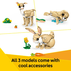 LEGO Creator Seal ice and fish supports imaginative sea and arctic adventures.