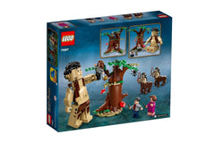 LEGO Harry Potter Forbidden Forest Hermione Granger minifigure inspires heroics