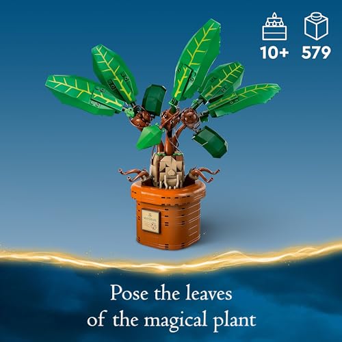 LEGO Harry Potter Mandrake display pedestal with plaque