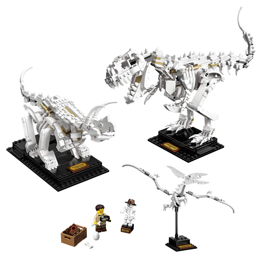 LEGO Ideas 21320 Triceratops skeleton on display stand for education and display.