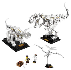 LEGO Ideas 21320 Triceratops skeleton on display stand for education and display.