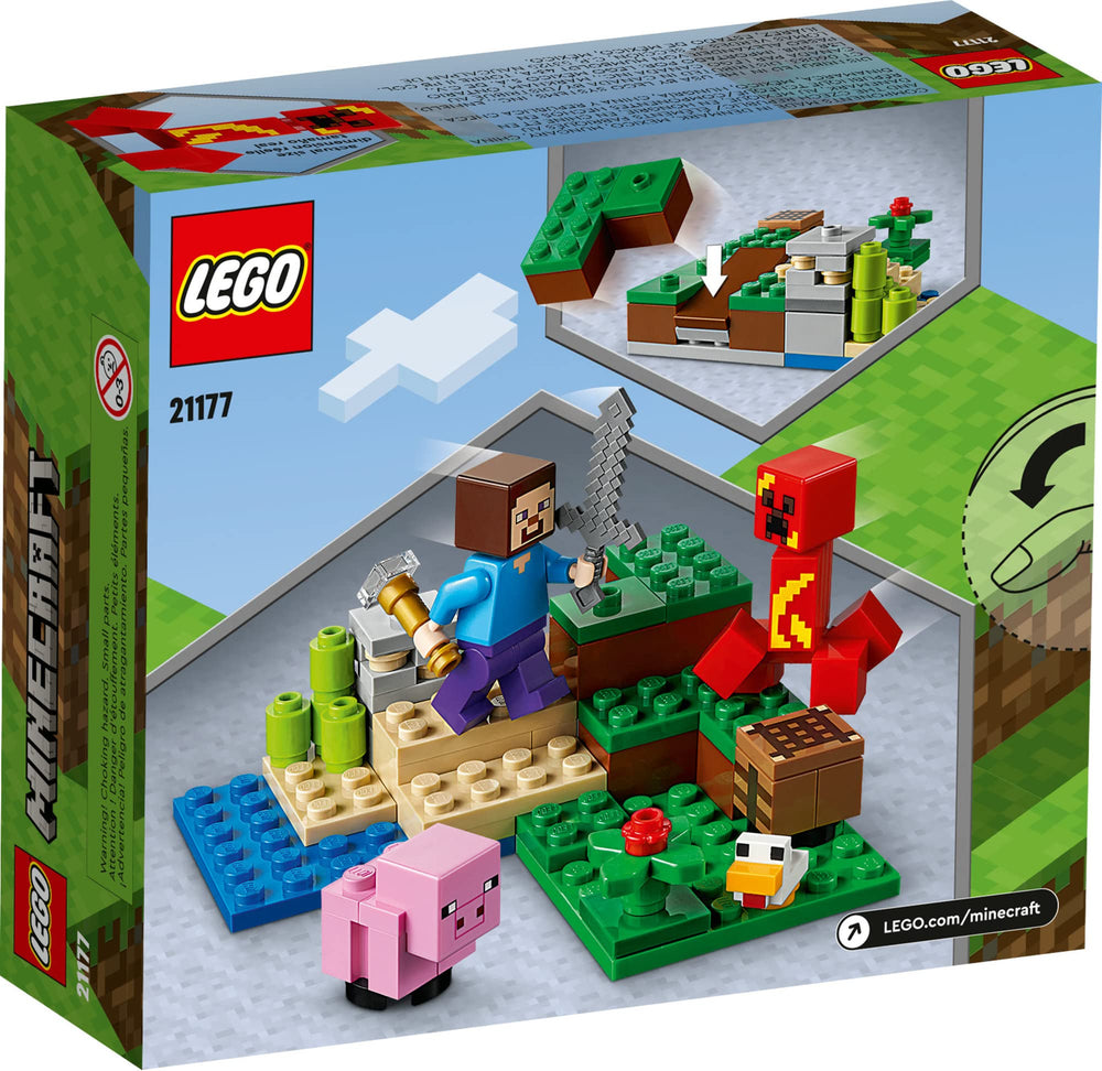 LEGO Minecraft sugarcane and poppies add color and farming play.