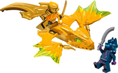 LEGO NINJAGO Build-and-Play action set designed for creative storytelling.