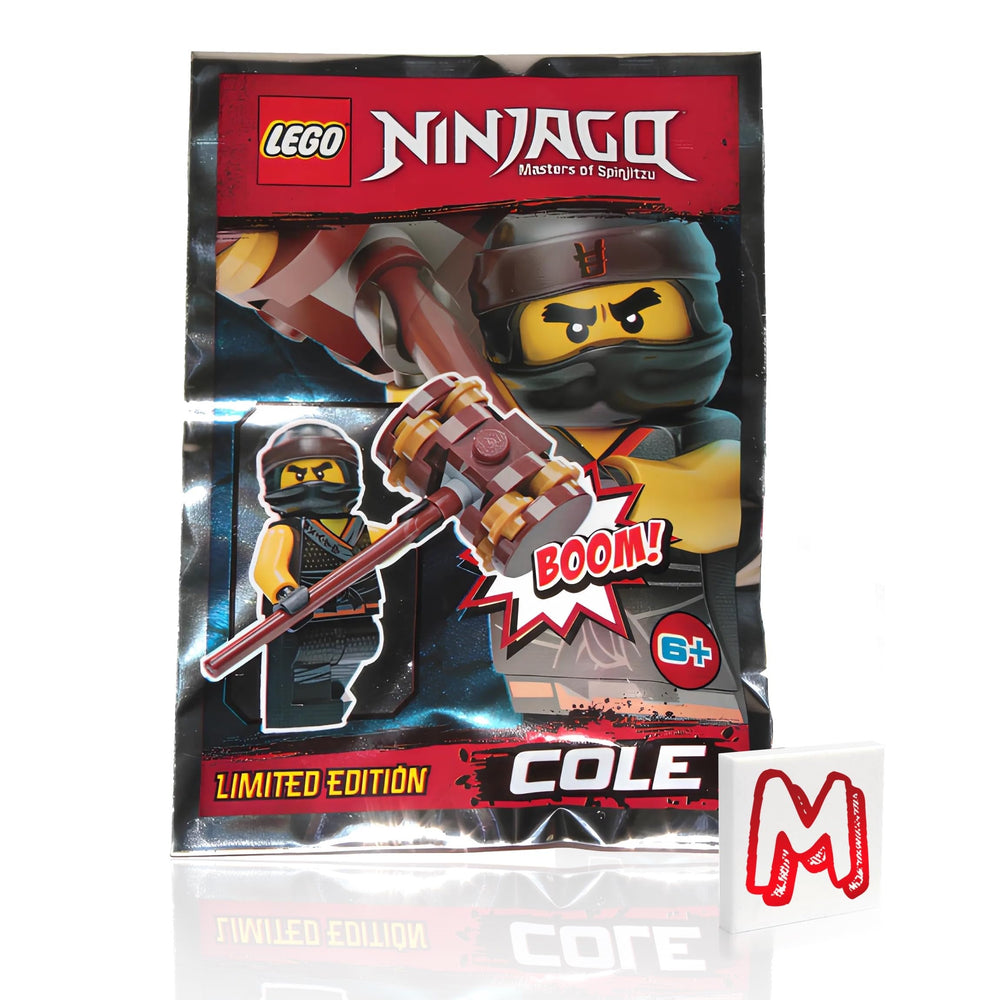 LEGO Ninjago foil pack logo tile to enhance authentic display.