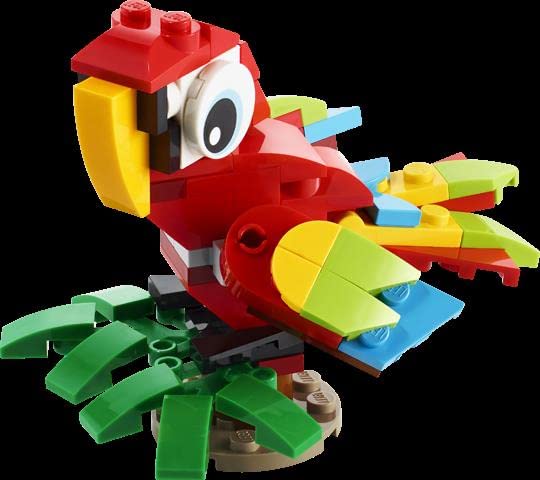 LEGO 30581 Tropical Parrot shows 3-in-1 versatility for imaginative adventures.