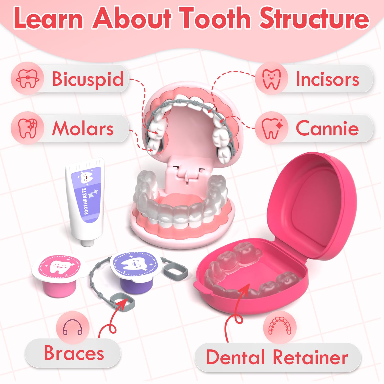 Lehoo Castle fake tooth model with braces offers realistic practice during pretend checkups