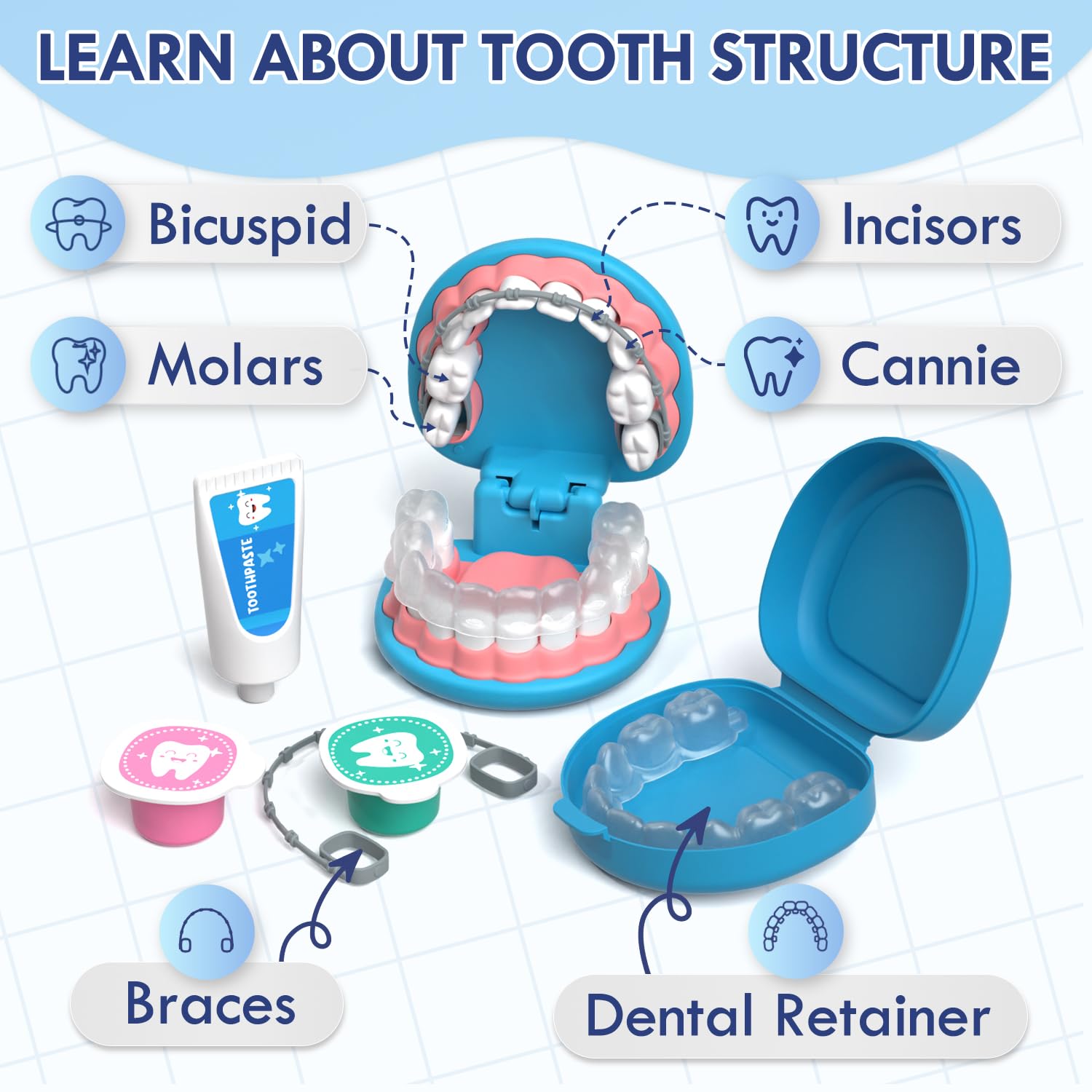 Lehoo Castle fake tooth model with braces enables realistic role-play learning