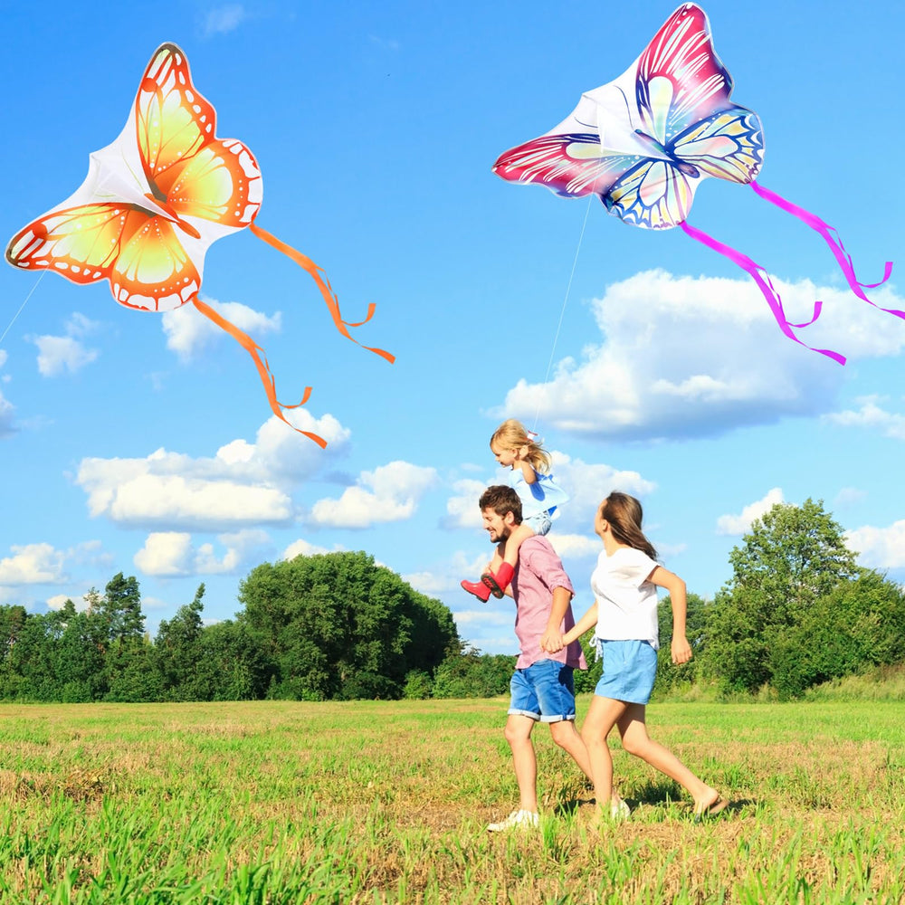 Leitee eagle kite with strong tail and stable lift for family beach adventures