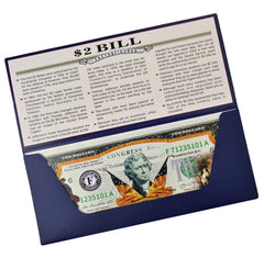 LEKA NEIL 250th Anniversary bill overlay front, a vibrant commemorative artwork for display.