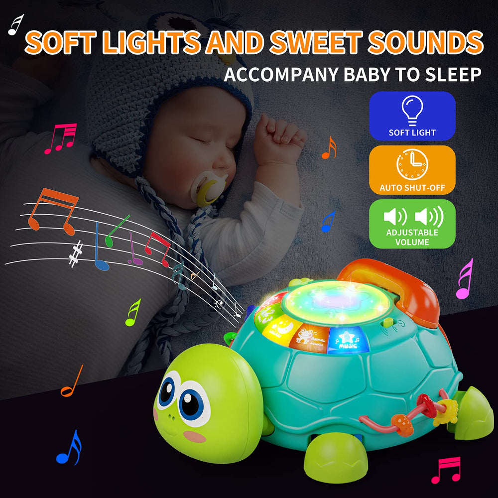Letapapa gift-ready turtle toy, ideal for baby gifts.