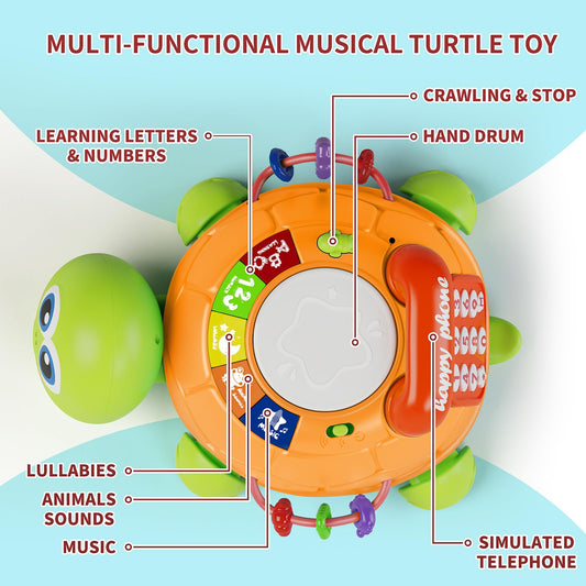 Letapapa turtle lighting effects activate during play.