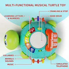 Letapapa turtle toy with pressable buttons delivering animal and instrument sounds.