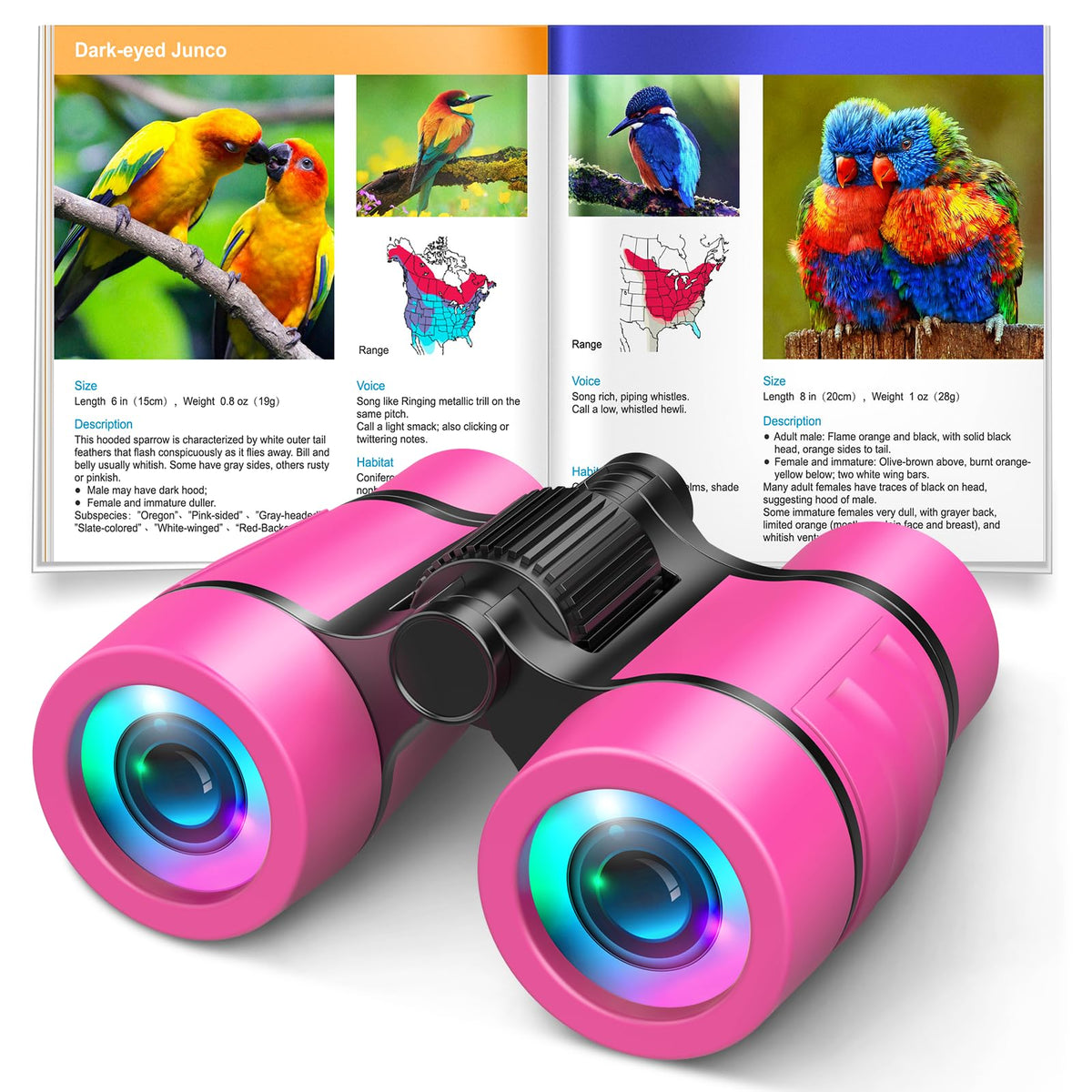 LET'S GO! kids binoculars for bird watching, inspiring outdoor curiosity