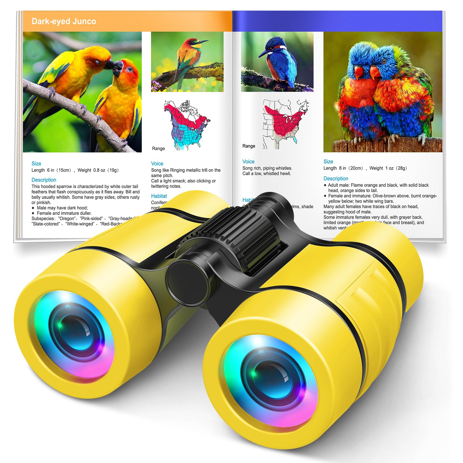 LET'S GO! Bird watching binoculars for kids in compact design, perfect for outdoor exploration