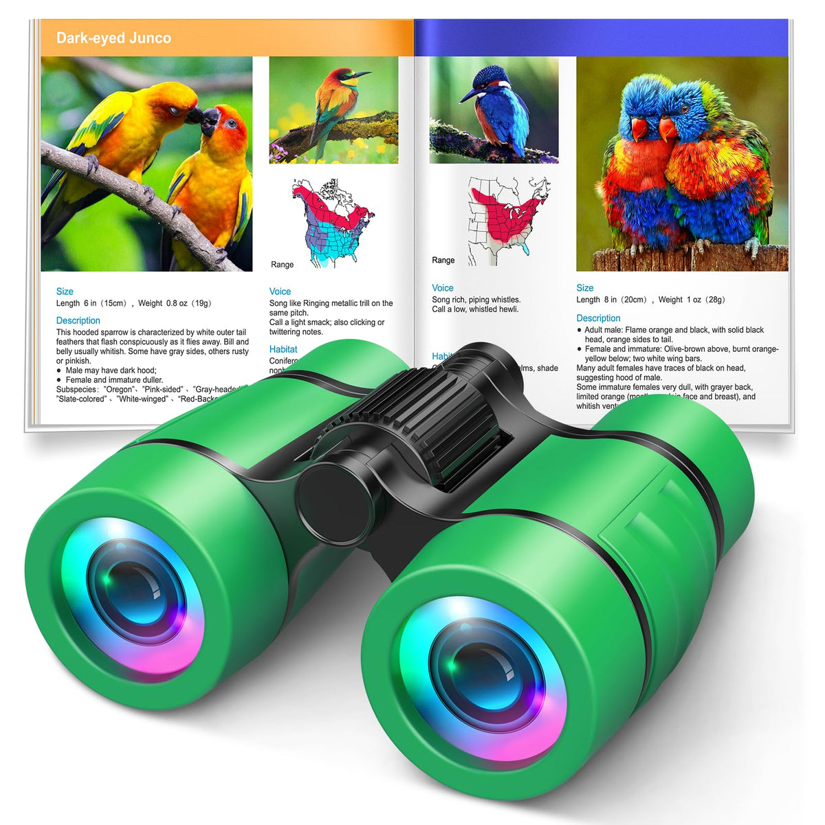 LET'S GO! kids binoculars for bird watching spark curiosity and observation.