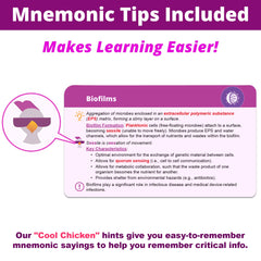 Level Up RN microbiology flashcards desk setup promotes efficient study sessions