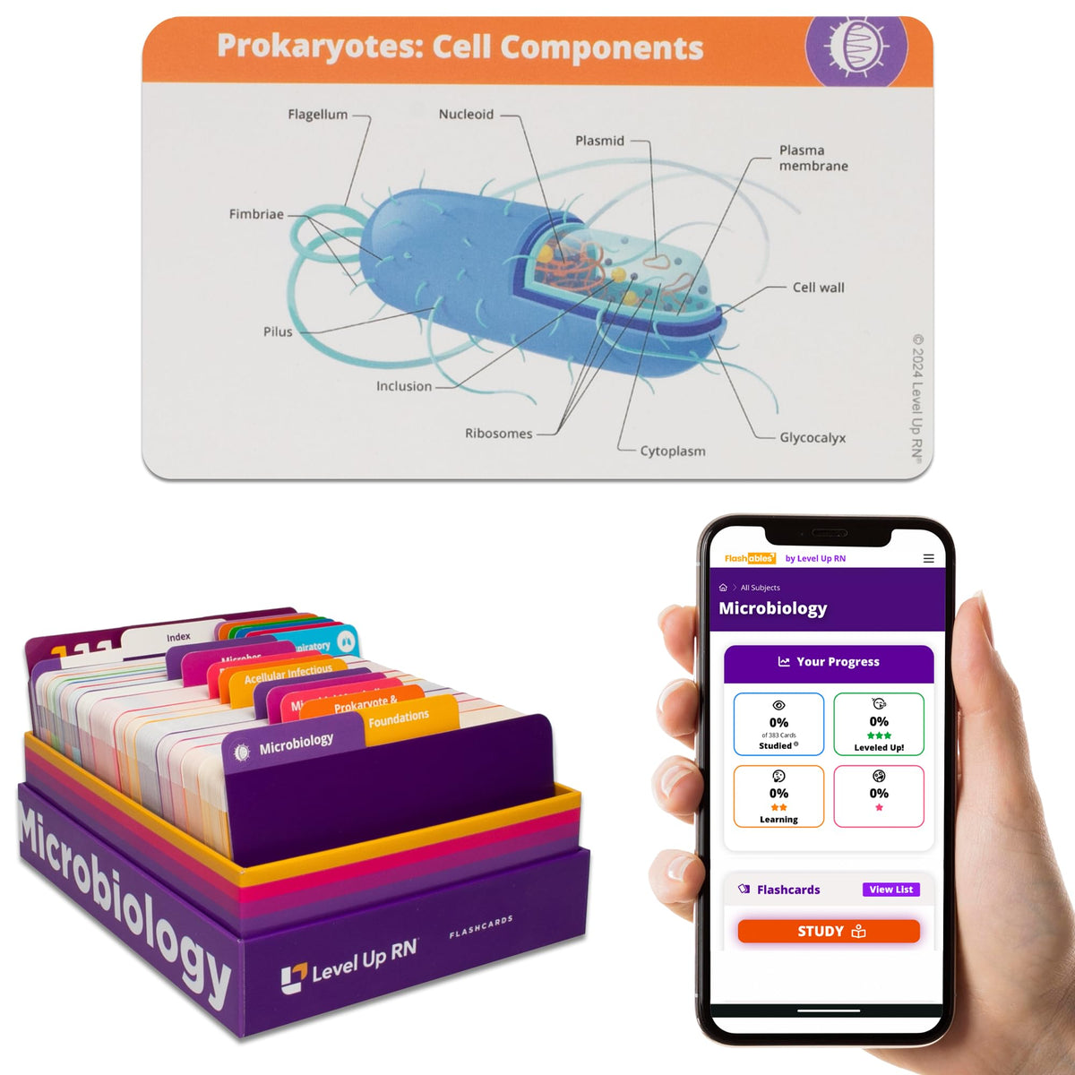 Level Up RN microbiology flashcards front view for quick exam prep and recall