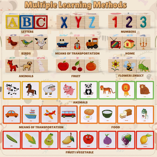 Lewo ABC recognition cards on sturdy blocks foster early vocabulary and spelling practice.