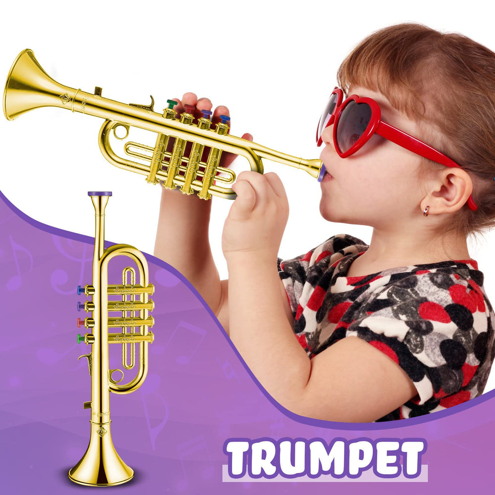 Lewtemi musical instrument set supports home music sessions and learning.