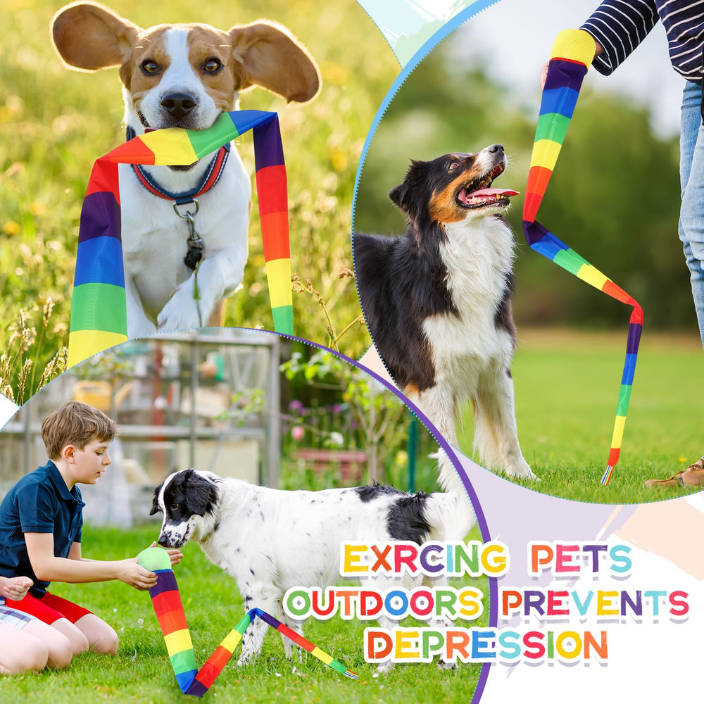 Leyndo throw and catch ball with yellow rainbow tail highly visible during play