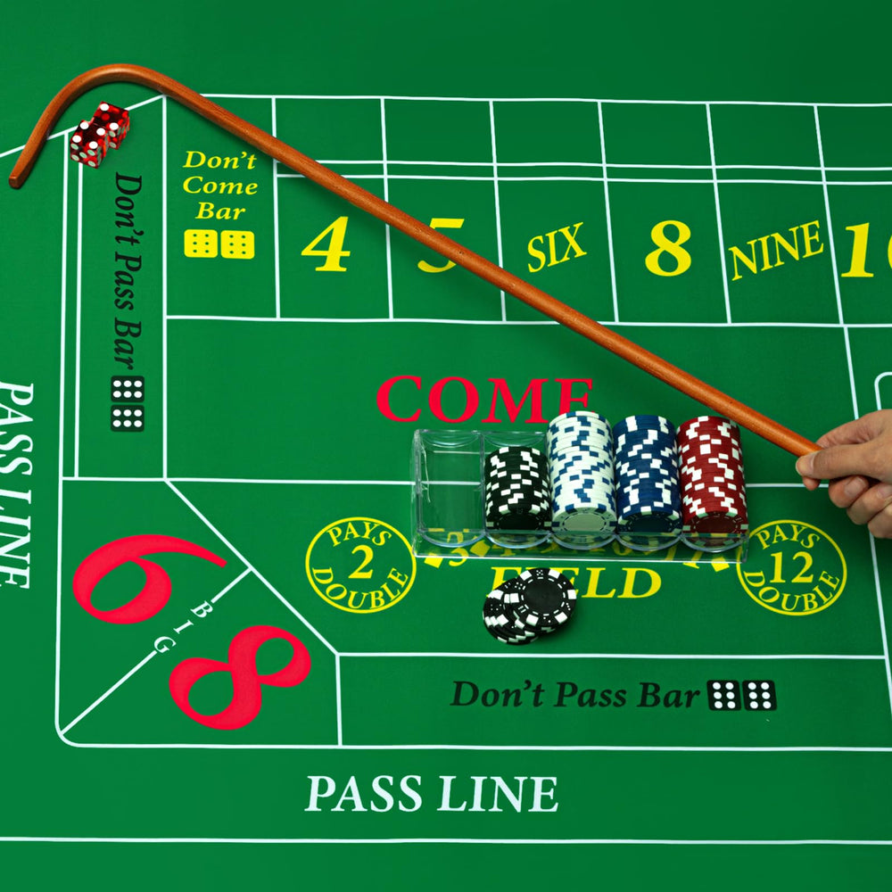 Leyndo poker chips with case keep bets organized and visible