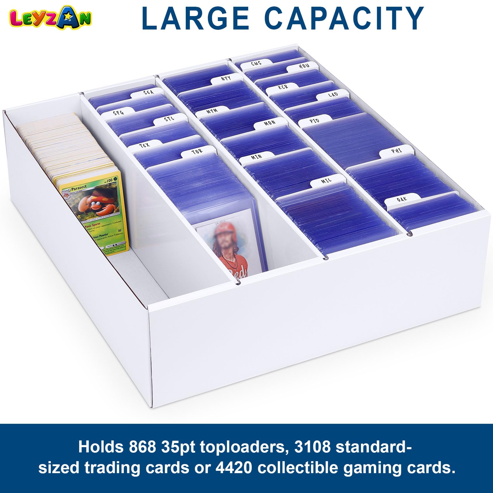 Leyzan box shows top-loader compatibility for secure storage.