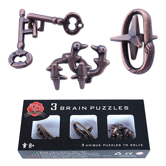 LFLQ brain teaser puzzle exterior in ferrous metal for durable, engaging play
