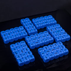 Lianshi educational-dice-activity set, ideal for literacy games and probability practice.