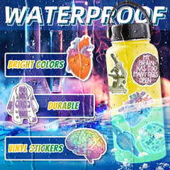 LIAOWL die-cut science stickers with clean edges on curved surfaces
