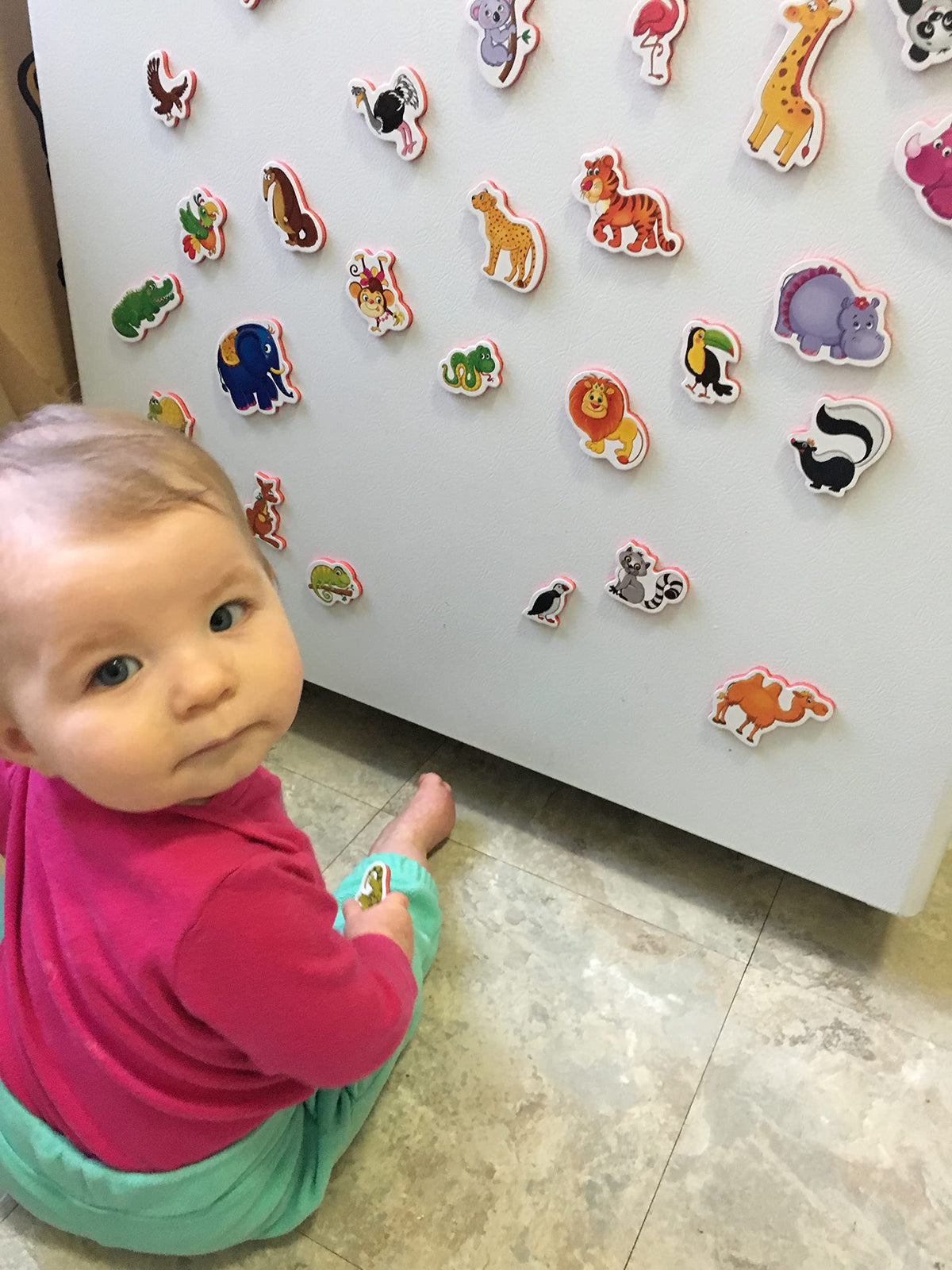 LIENO ROSIO lion on fridge magnet enhances imaginative play and color recognition