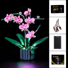 LIGHTAILING 2 year warranty and support for安心