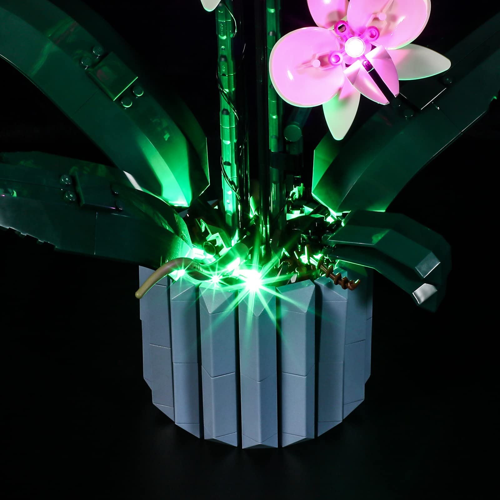 LIGHTAILING gift-ready packaging for festive decor