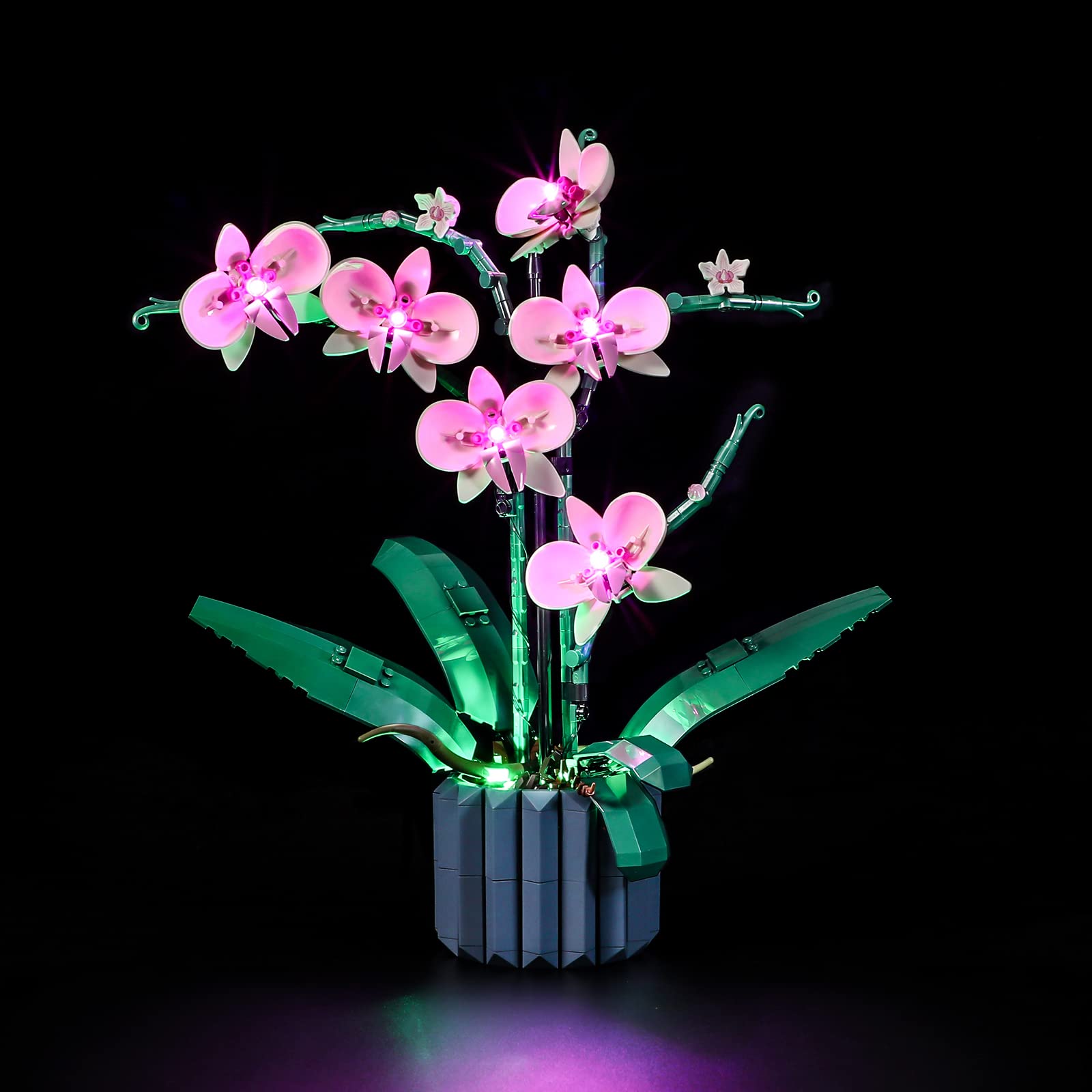 LIGHTAILING LED light for LEGO 10311 Orchid showing easy install and hidden wiring