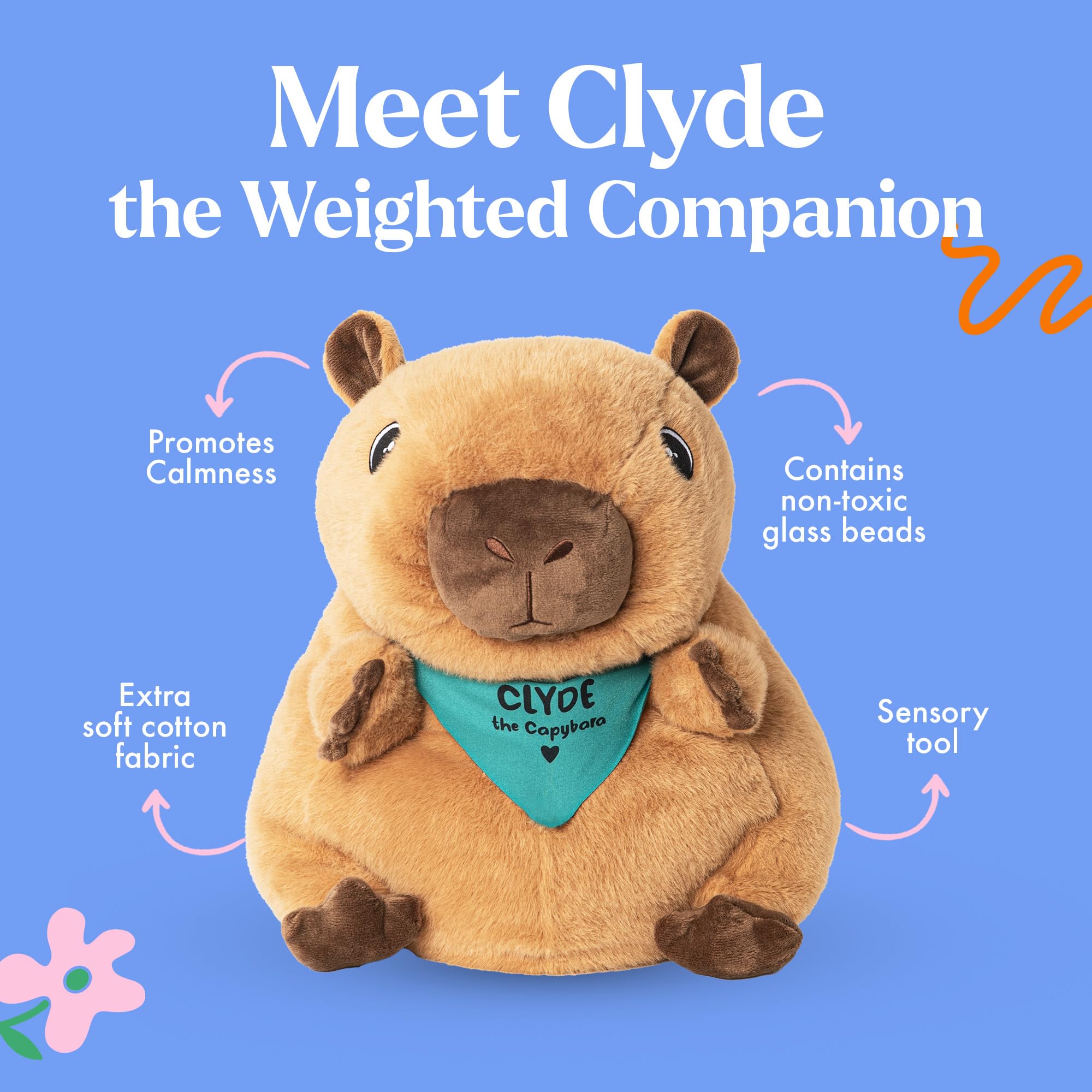 Lilly's Love Clyde plush with removable weight insert for focused study.