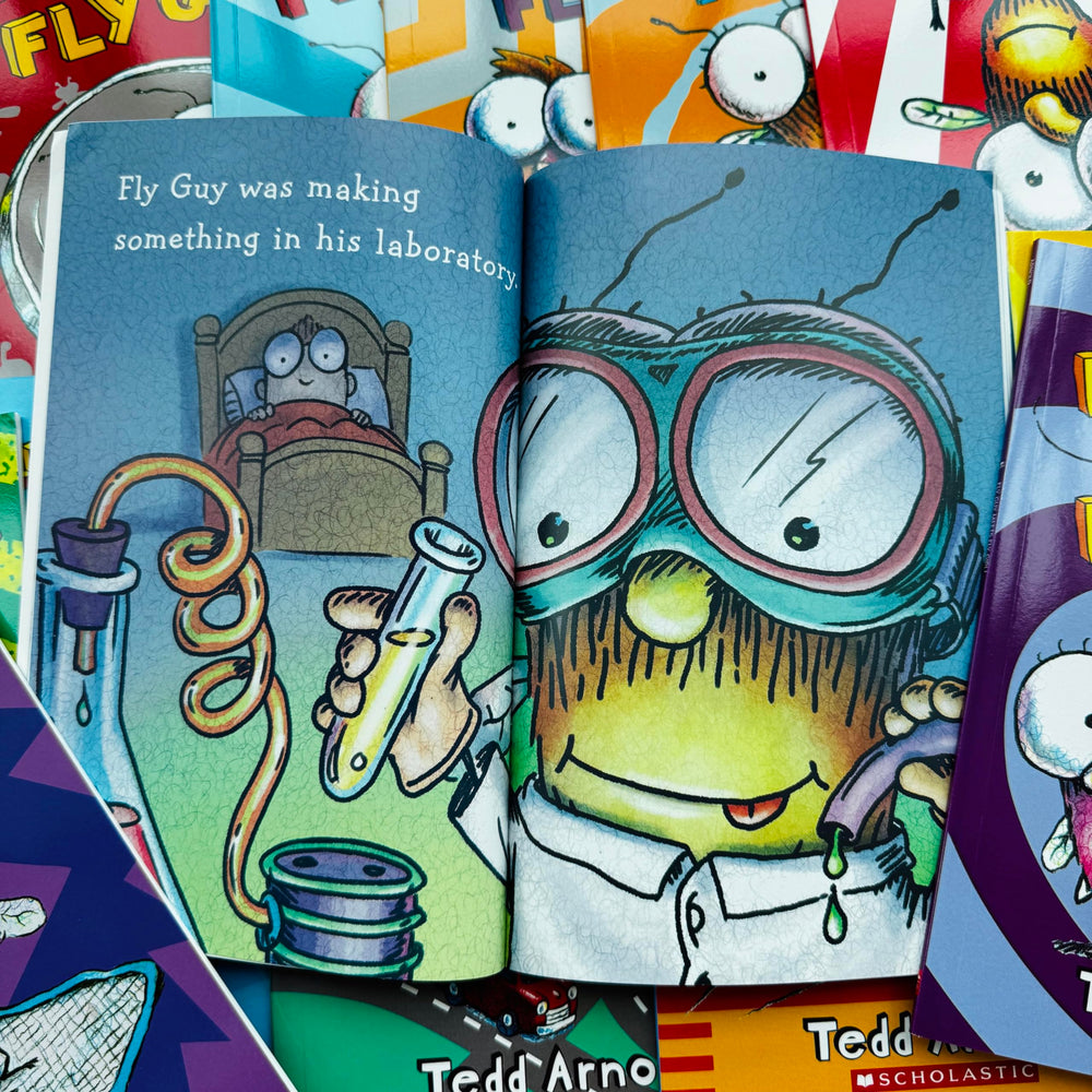 Fly Guy complete adventures on the shelf, ideal for early readers practicing new skills.