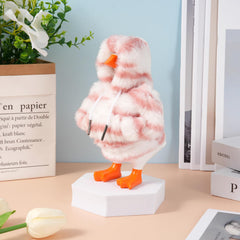 linastu accessory packaging demonstrates a thoughtful present-ready look
