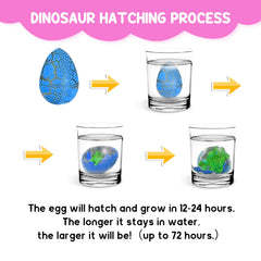 Lionoble dino eggs gift box and bags for easy gifting.