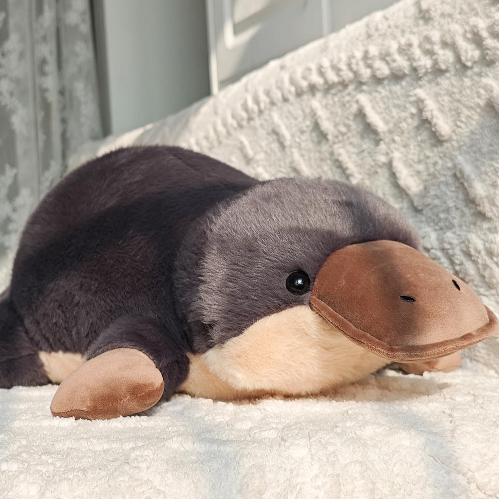 Liraziva Platypus Plush adds cozy room decor.