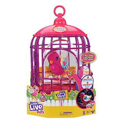 Lil' Bird cage display on stand for charming decor.