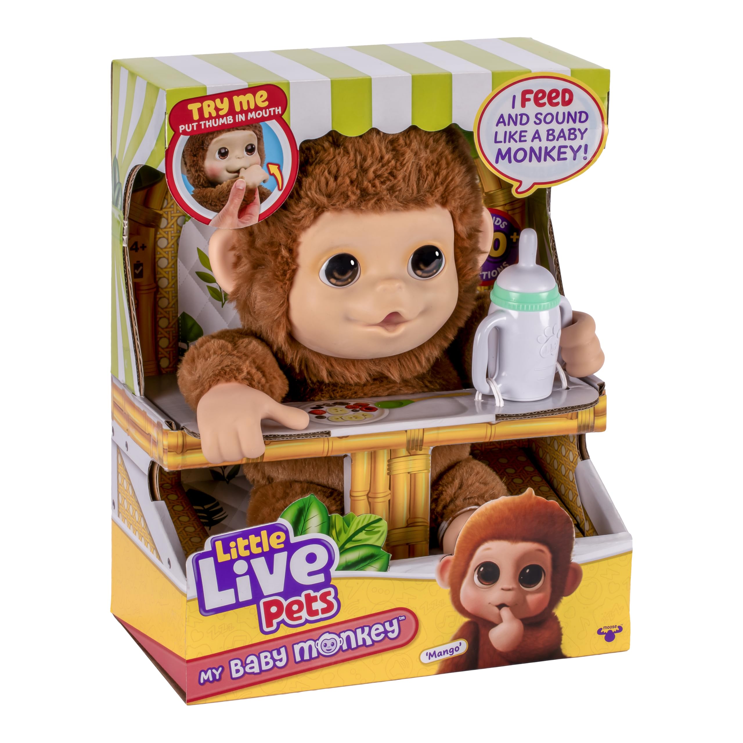 Mango’s strong grip helps it hang onto toys during climbing play.