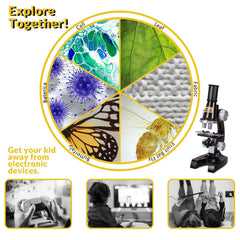 Little World teaching kit supports curiosity with classroom-ready activities