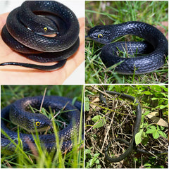 Lnbeyw medium black rubber snake 29-inch, versatile garden and prop use.