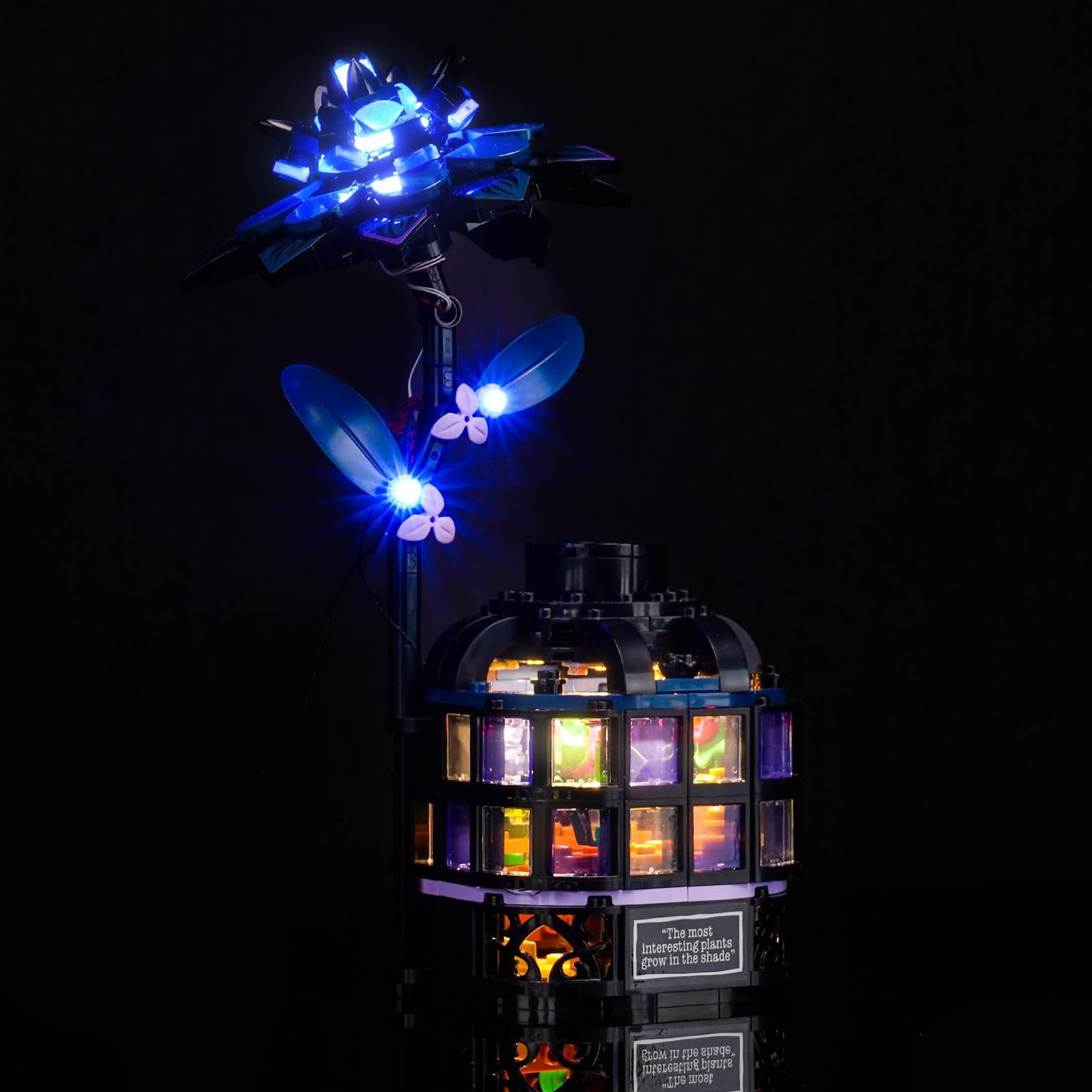Fan-friendly display lighting by LocoLee enhances family Lego collections with glow.