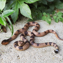 Lohoee Halloween prop snake for parties and spooky scenes.