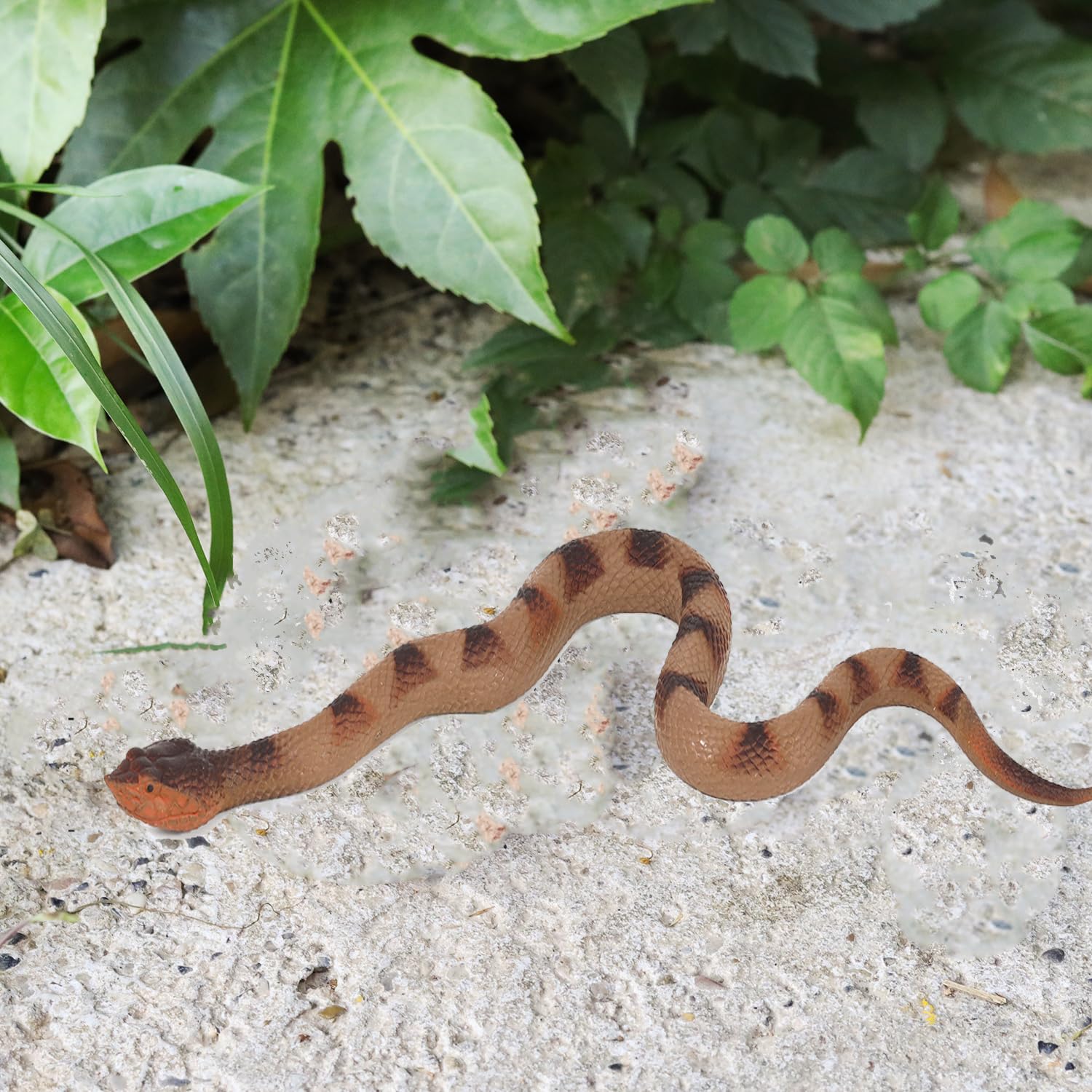 Lohoee snake prop in garden to protect plants from small critters.