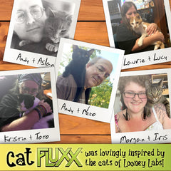 Looney Labs Cat Fluxx ball of yarn serves as a cozy focal point during play.