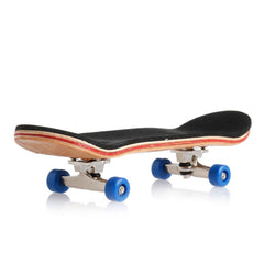 Lottoyday 5-layer maple deck panel highlights authentic wood construction